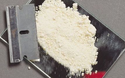 У США злодії вжили прах чоловіка і двох собак, прийнявши його за кокаїн
