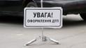 В Беларуси произошло необычное ДТП с участием "гужевого транспорта"