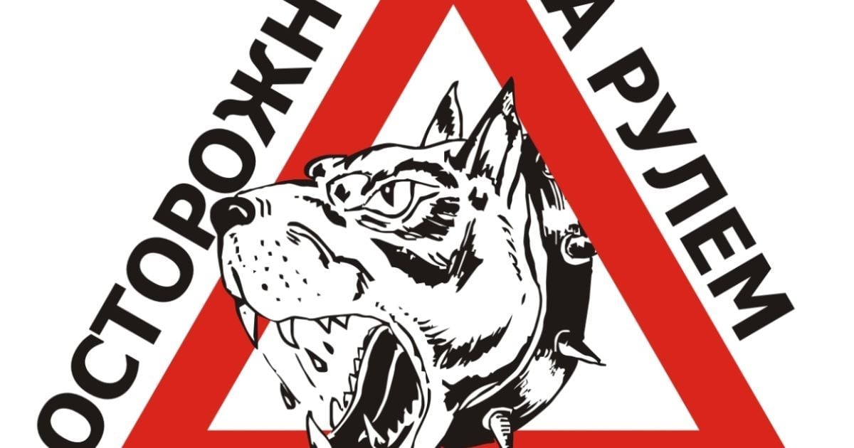 В Новой Зеландии три собаки научились управлять автомобилем (Видео)