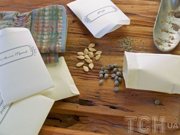 Что нужно сделать в саду в августе