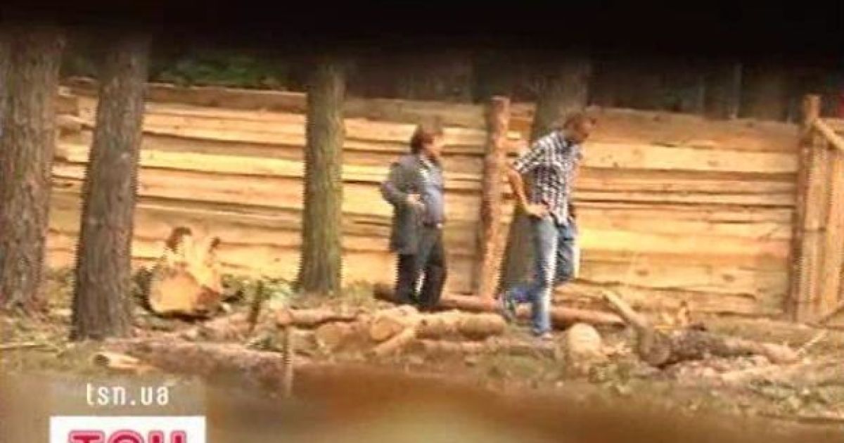 Замість звалених дерев у Бучі з&rsquo;являються  кількасотметрові паркани