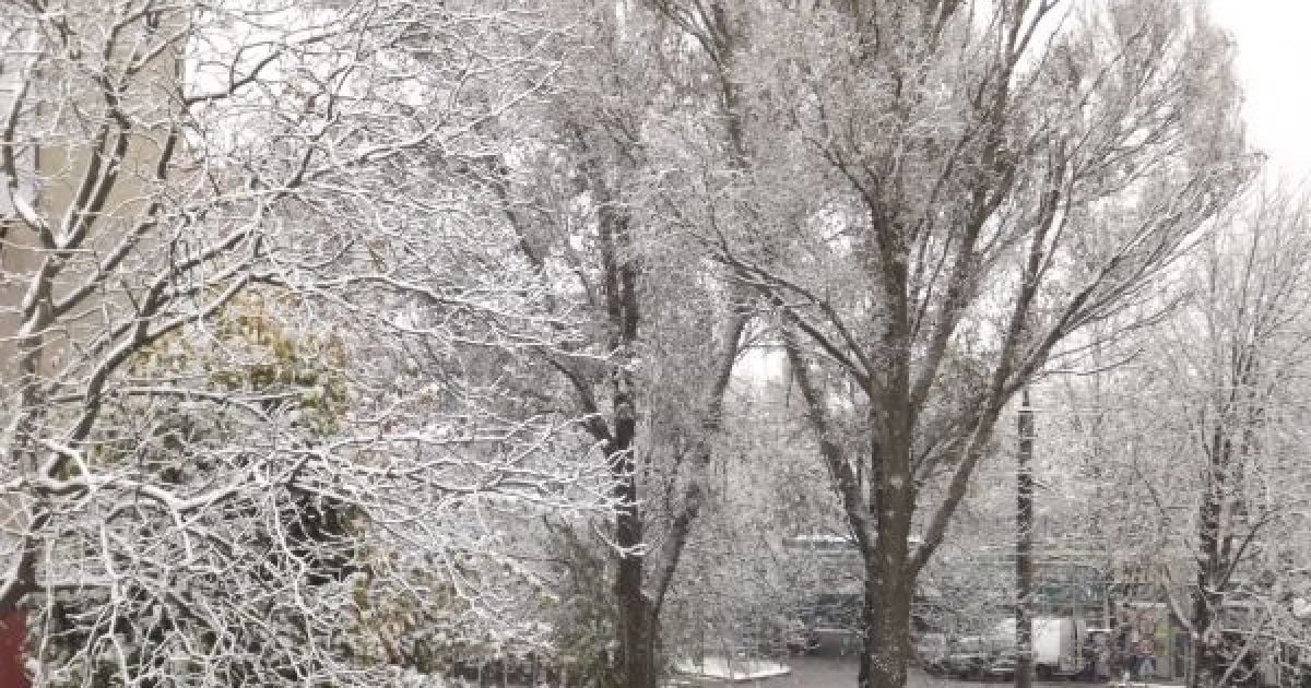Через тиждень до Києва завітає сніг