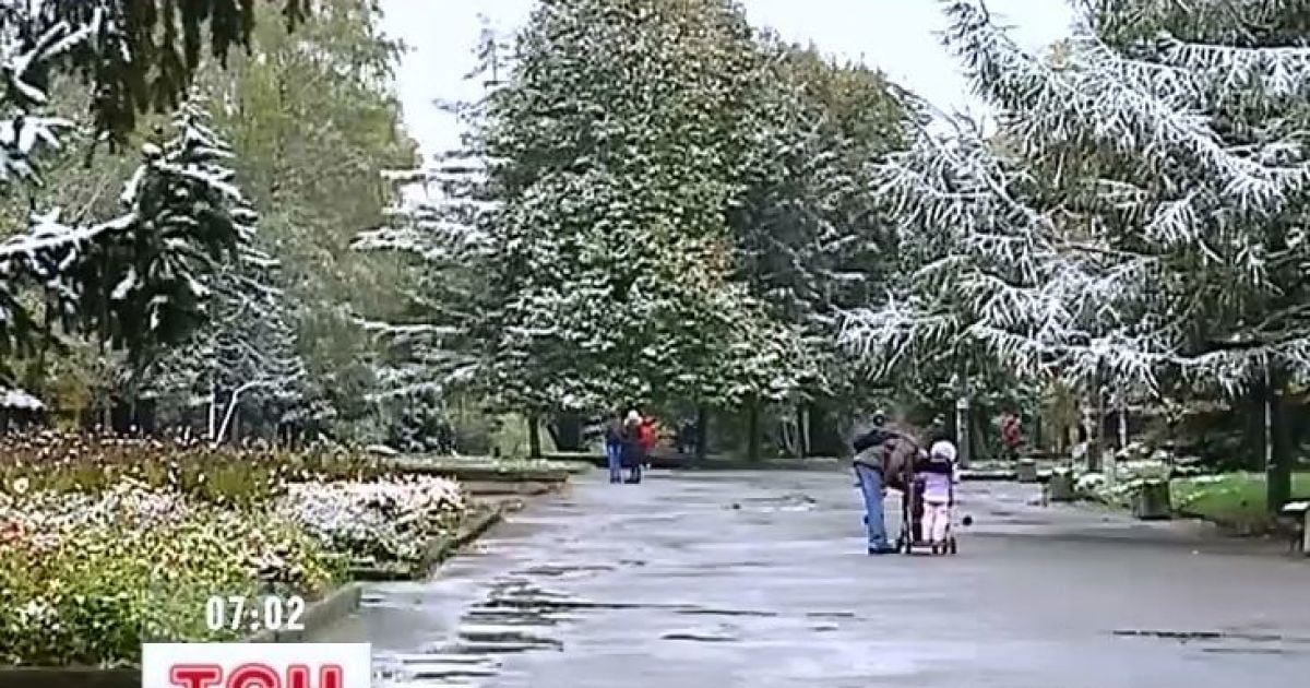 На Тернопільщині вже випав сильний сніг