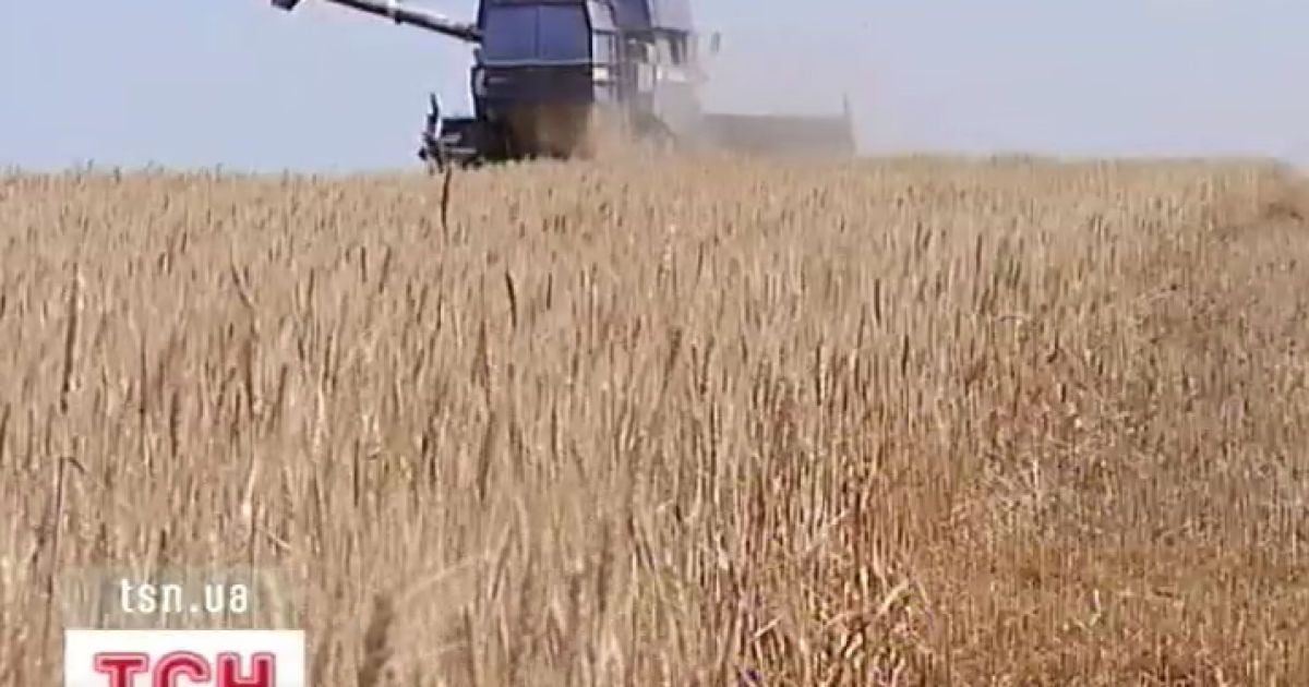 Фермери більше ніж на чиновників сподіваються на погод