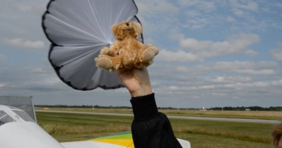 Плюшеві ведмедики наробили галасу і за океаном.