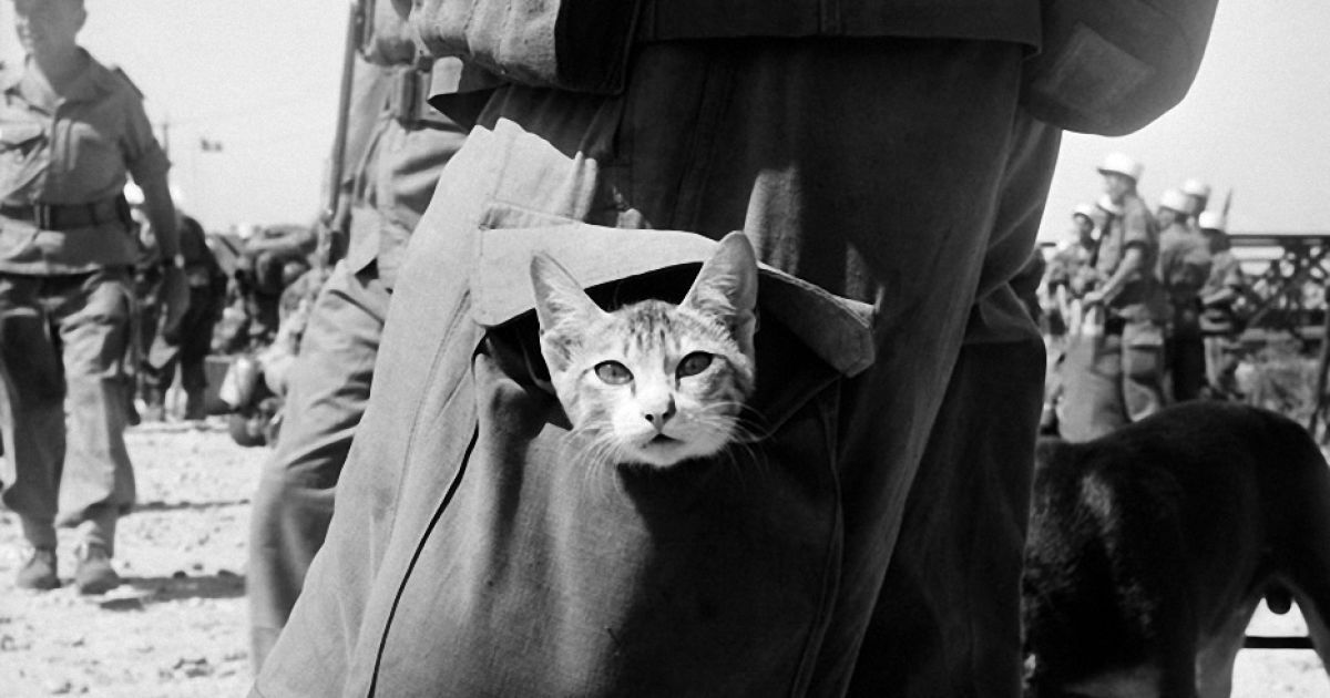 Січень 1956, Індокитай / © ecpad.fr