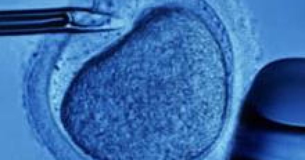 Заморожена 40-літня сперма побила рекорд 28-літньої сперми