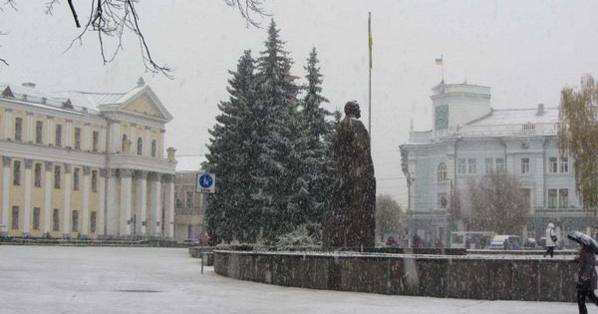 Перший сніг у Житомирі / © zhitomir.info