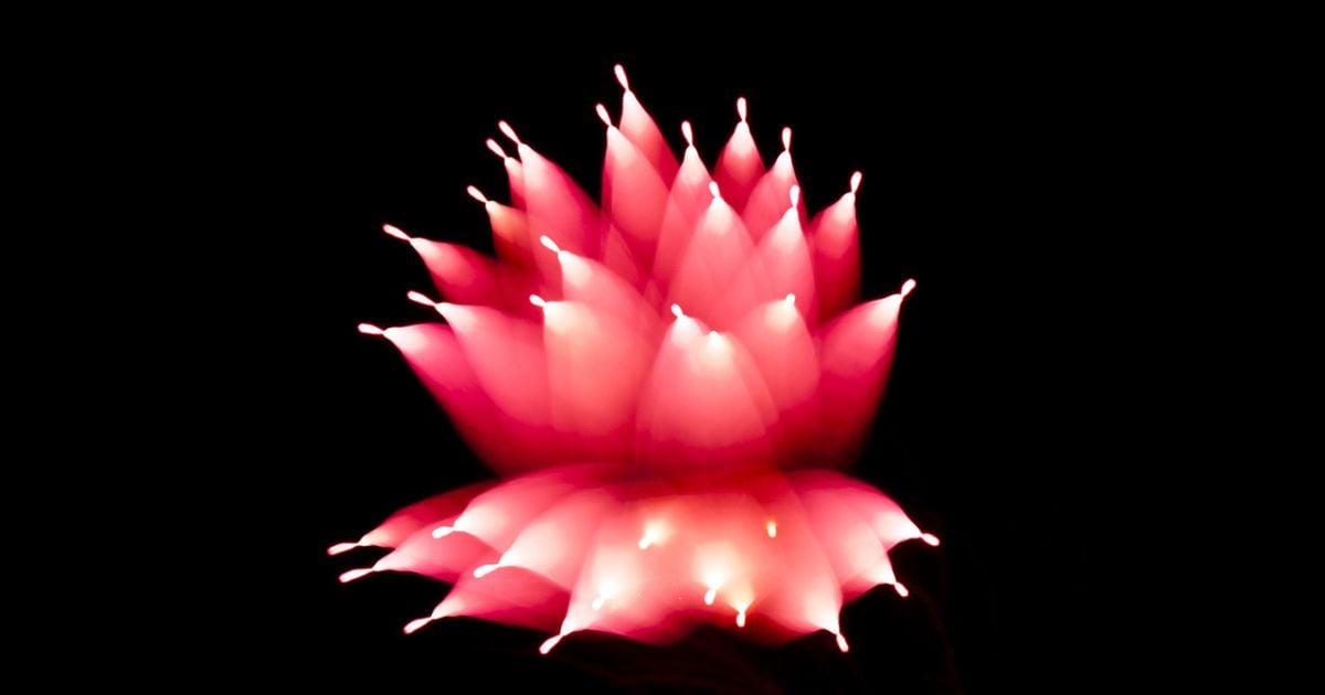 Феєрверки на довгій витримці нагадують квіти