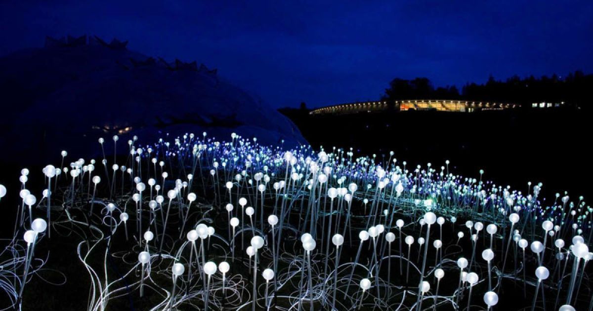 The field of light - проекти світлових інсталяцій Брюса Монро / © fieldoflight.co.uk