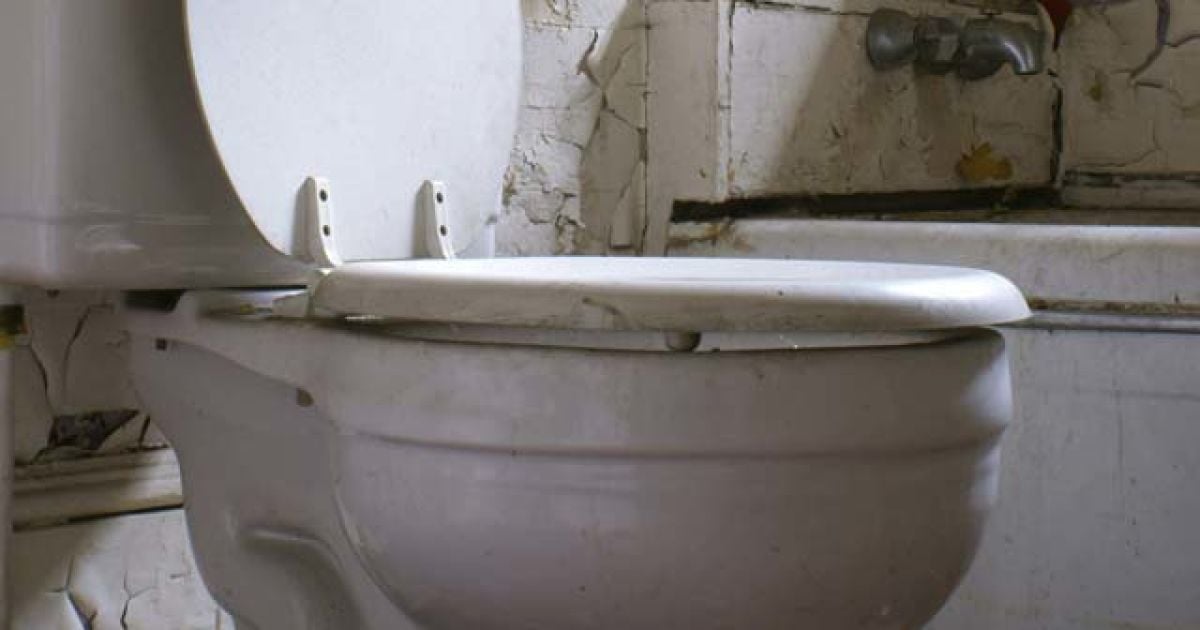 Американець зізнавався в коханні унітазу.