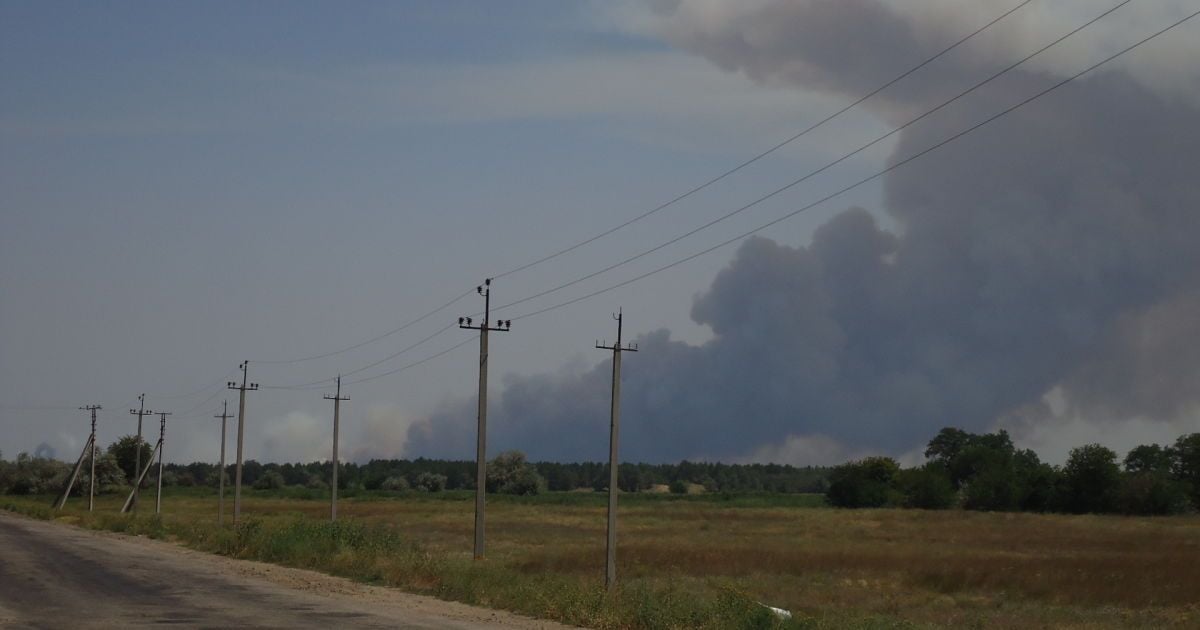 Лісова пожежа на Херсонщині вразила масштабами