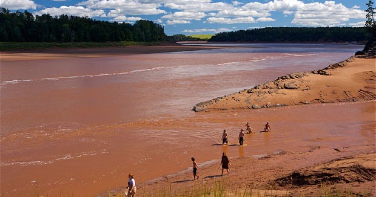 Річка Shubenacadie, Канада / © The Telegraph