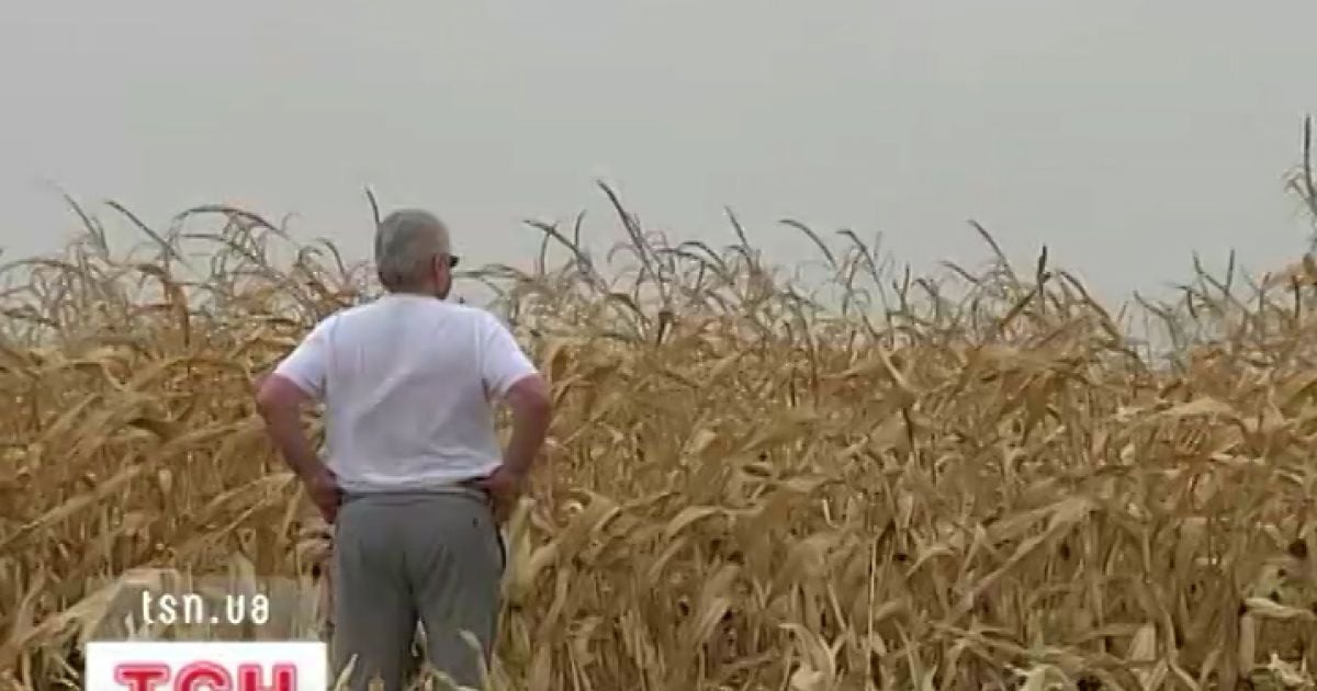 Селяне могут получить земельные и имущественные паи