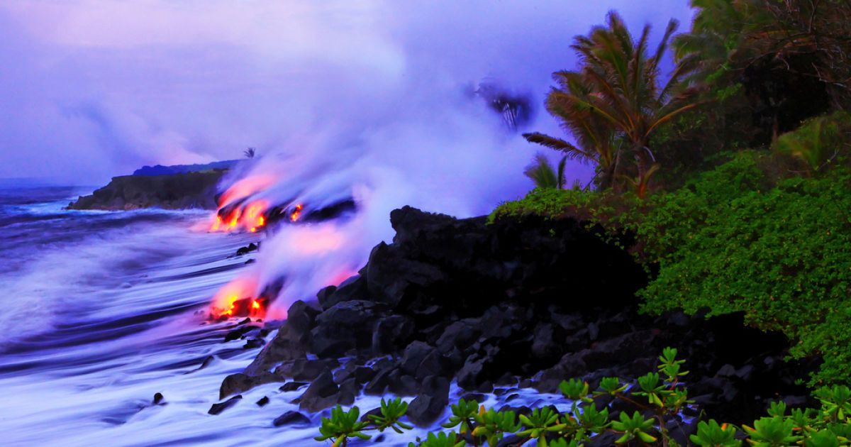 Фото Нік Селаві