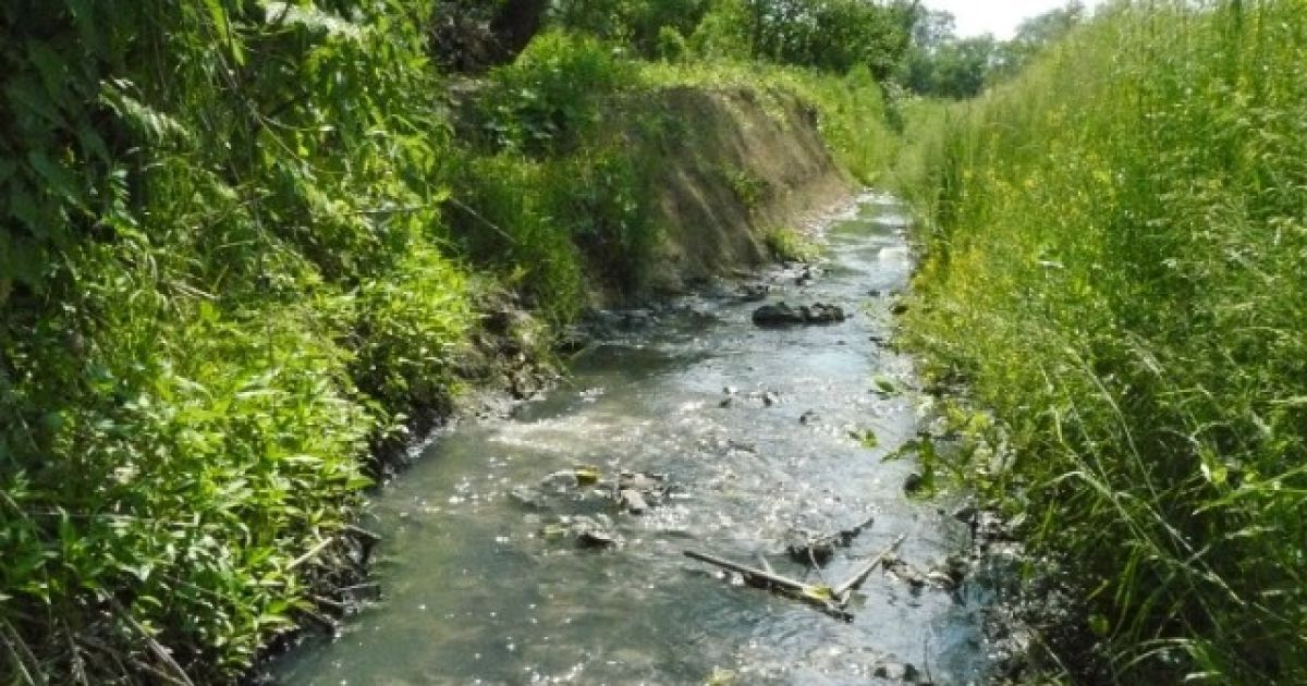 До річки Уж потраляють фекалії з Перечина