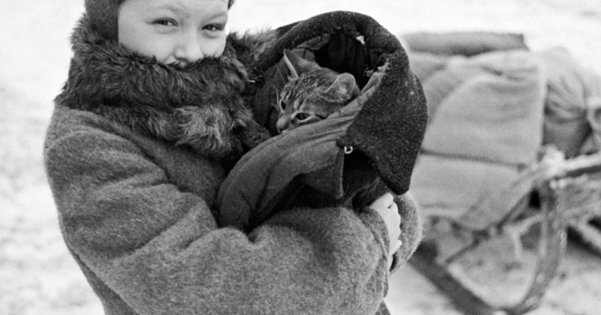 Вітебськ (Білорусь), евакуація жителів, зима 1943-1944 / © ecpad.fr