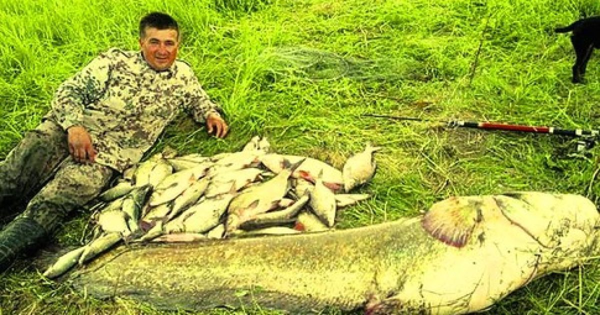 Руслан Яблончук виловив 48-кілограмового сома-гіганта