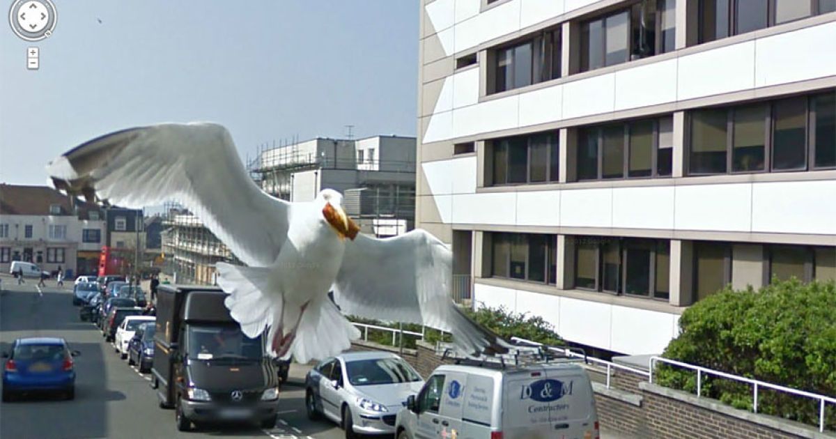 Знімки, зроблені Google Street View. / © Google Street View
