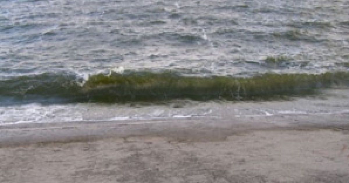 У Київському морі знайшли другий труп