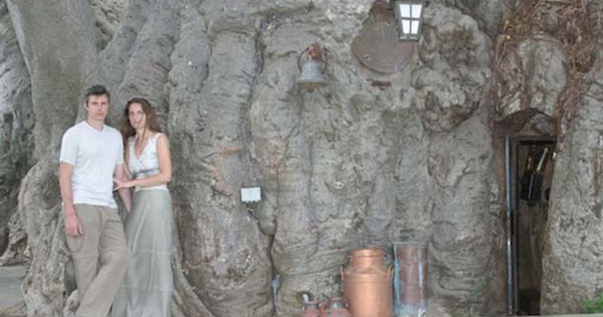 У ПАР можна випити пива всередині дерева