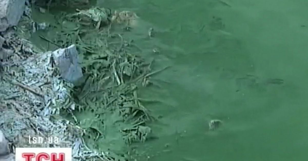 Влада нарешті відреагувала на перетворення Дніпра на болото