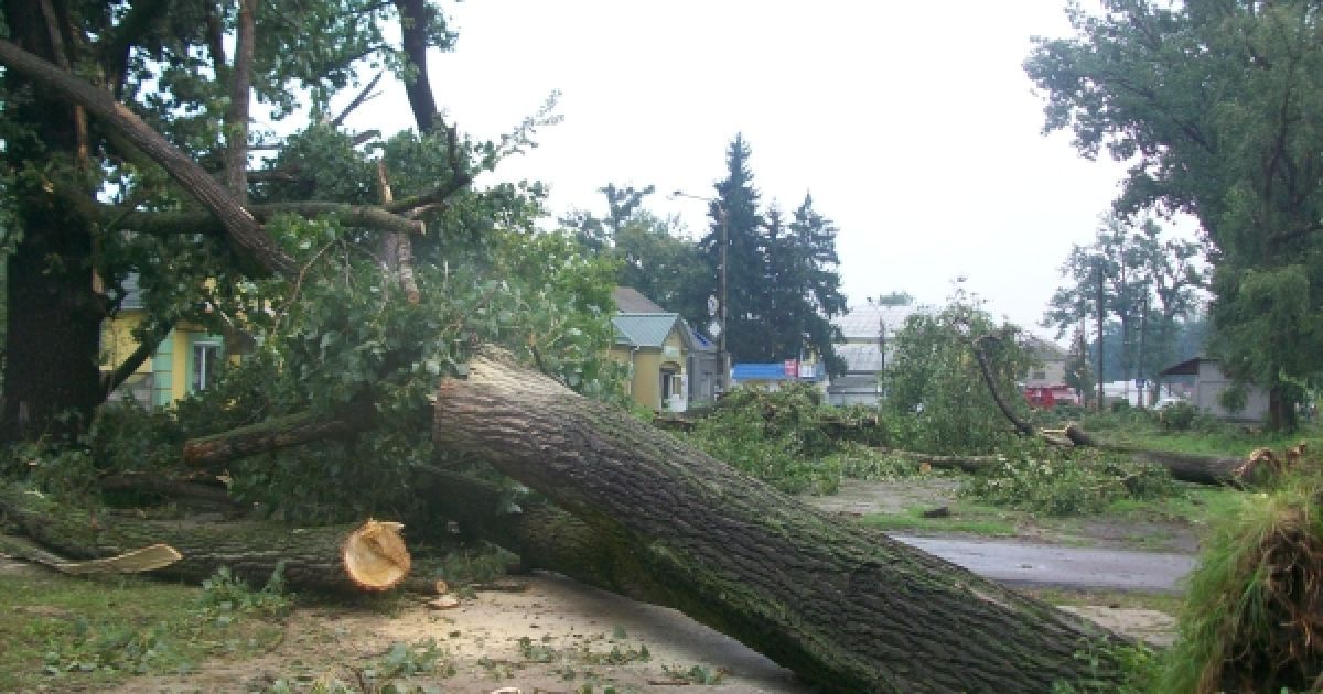 Негода наробила великого лиха на Рівненщині / © прес-служба МНС