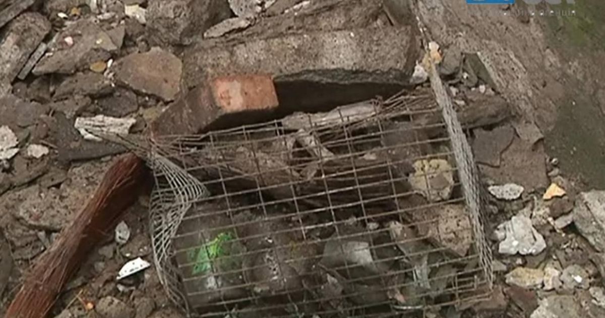 Аварійна конструкція балкона після зливи розмокла і просто розвалилася. / © caughtoffside.com