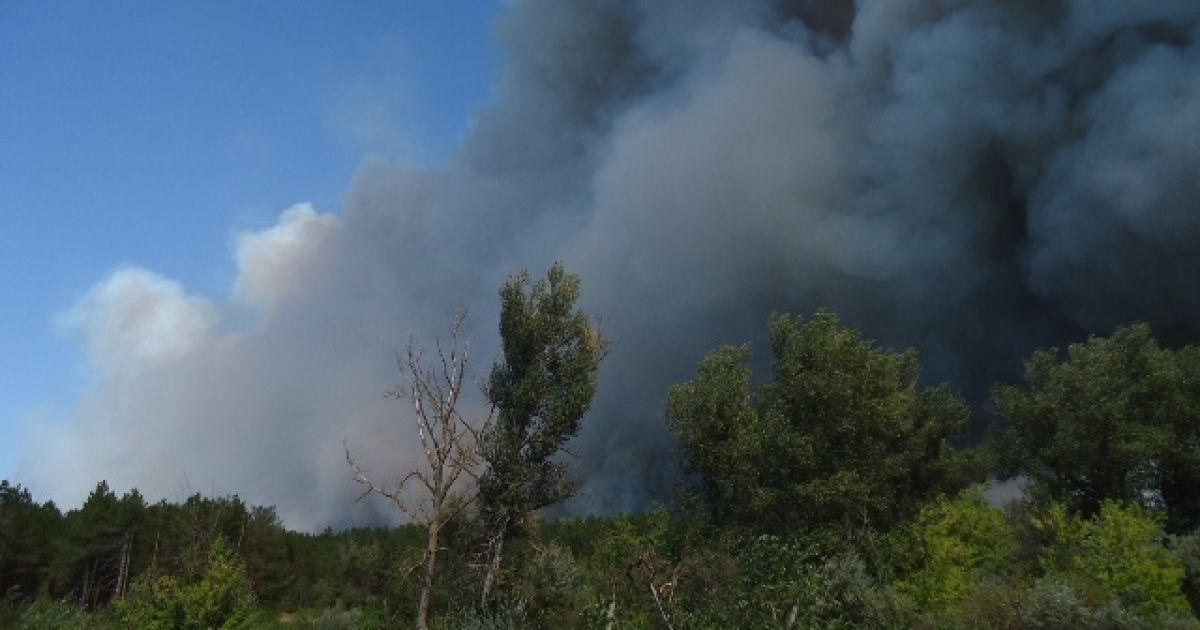 У Херсонській області вирують лісові пожежі / © МНС