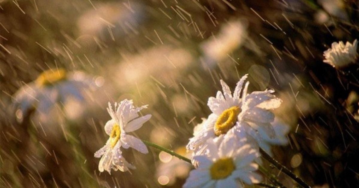 У Києві пройде невеликий дощ