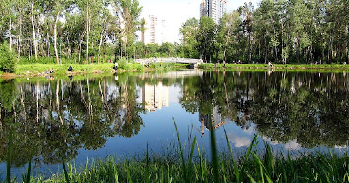 У київському озері знайшли мерця