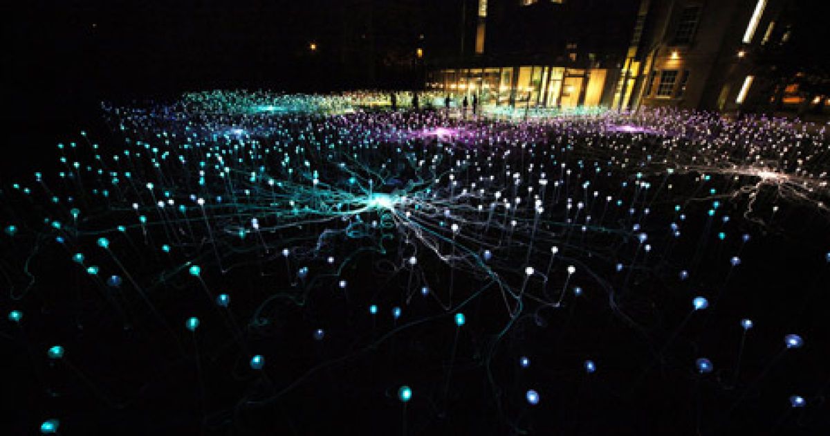 The field of light - проекти світлових інсталяцій Брюса Монро / © fieldoflight.co.uk