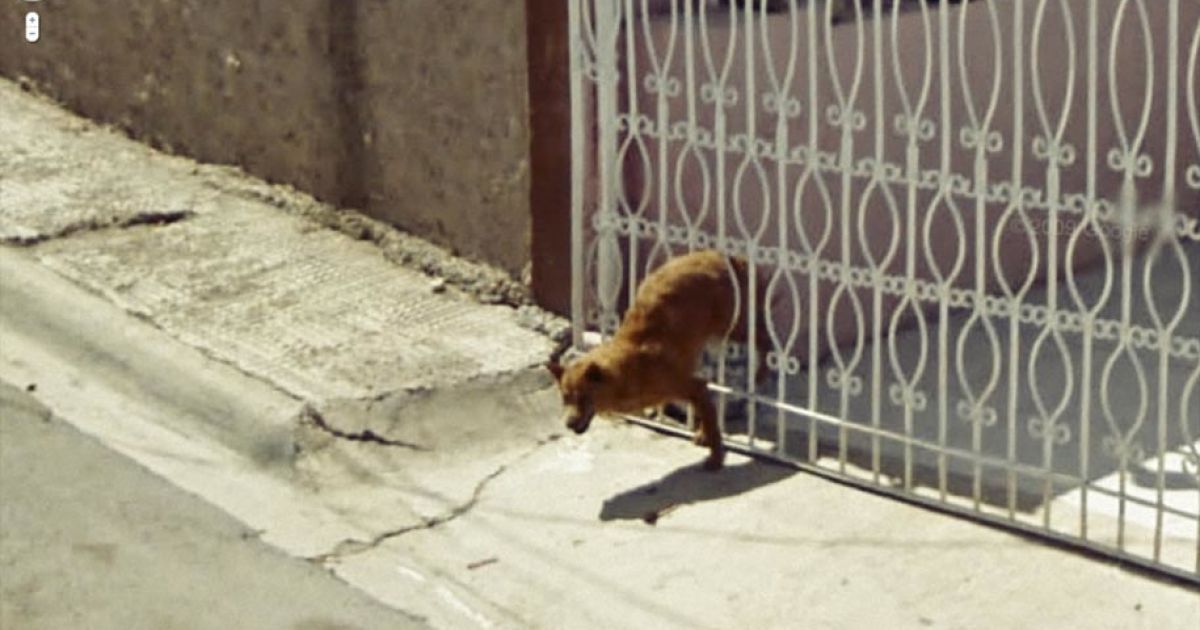 Знімки, зроблені Google Street View. / © Google Street View