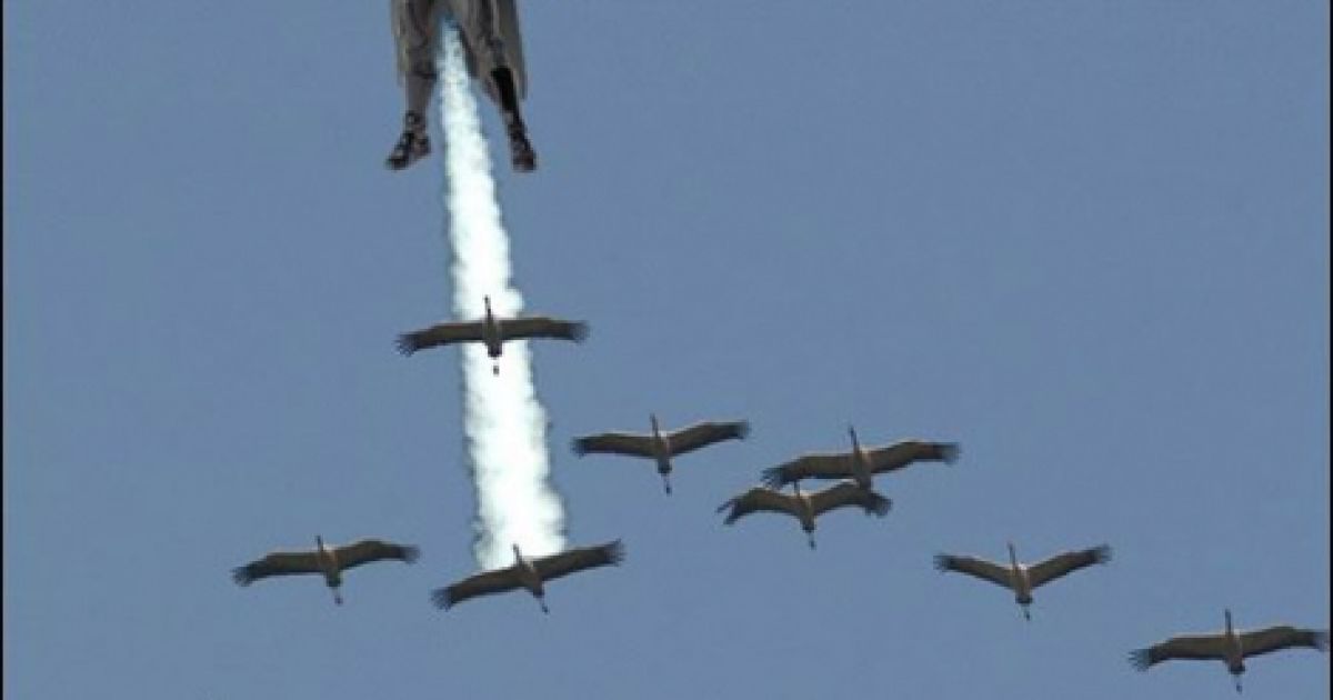 Фотожаби на Путіна_11 / © nbnews.com.ua