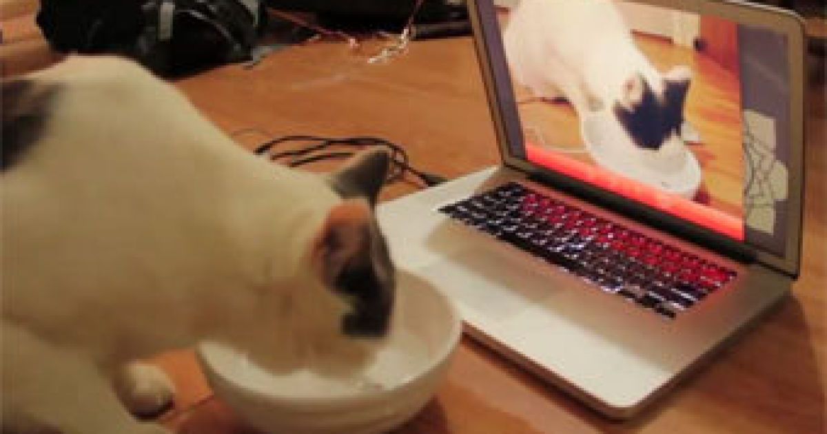 MakeyMakey
