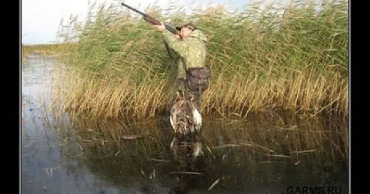 Фотожаби на Путіна_4 / © nbnews.com.ua