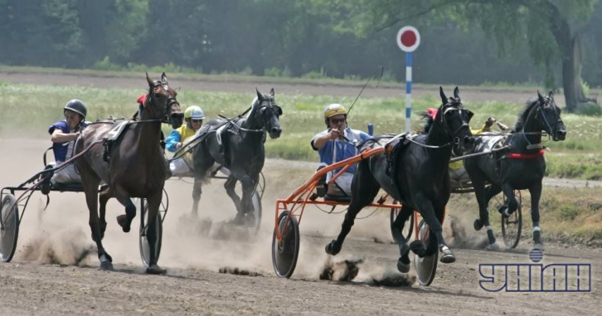 У Києві пройшли змагання з кінного спорту / © УНІАН