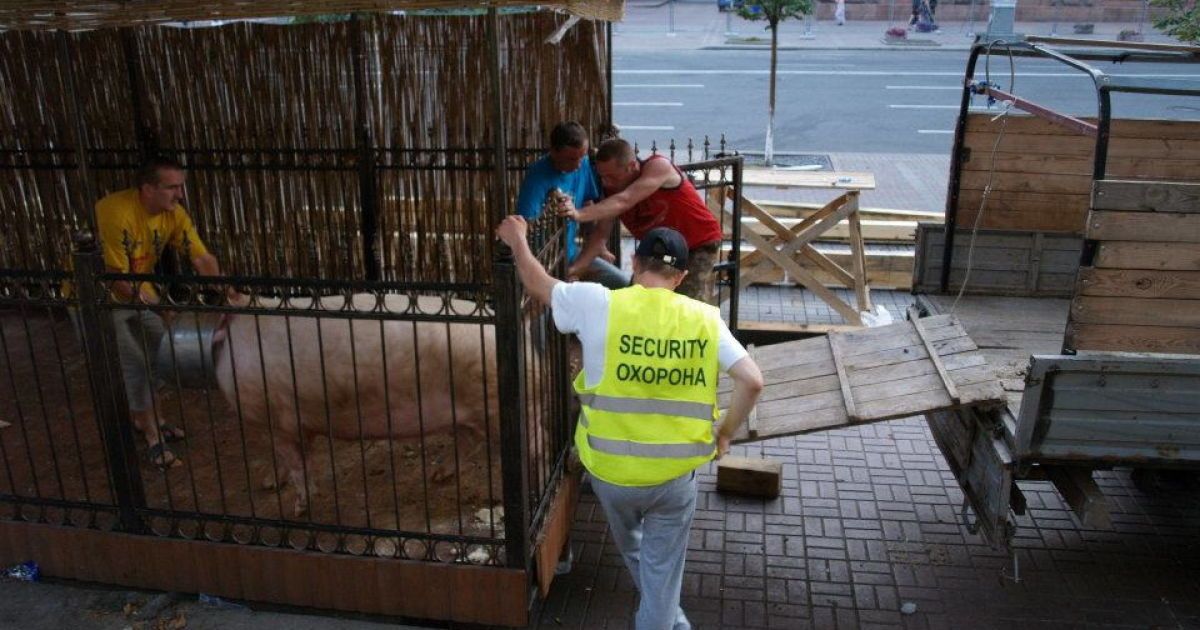 Фунтика відвезли подалі від стресу