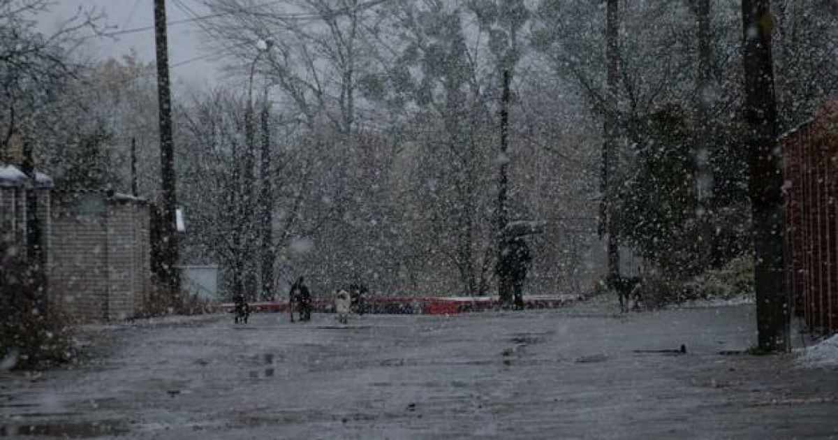 Перший сніг у Вінниці / © vin-info.org.ua