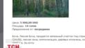 Скандал в городе Буча, под Киевом