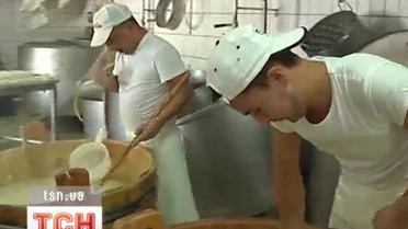 Сыр - неотъемлемая составляющая завтрака, обеда и ужина в Италии