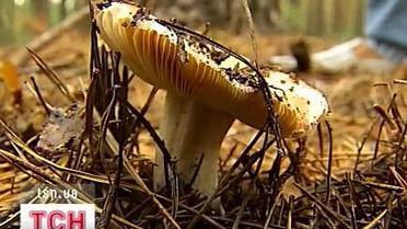 13-річна дівчинка загинула від отруєння грибами