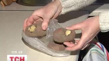Киевские крысы почувствовали похолодание и бросились к квартир