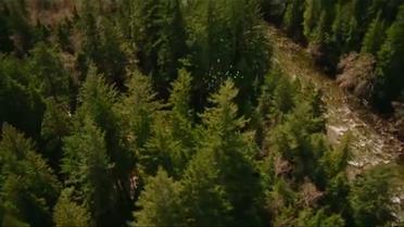 Заключна частина фільму "Сутінки. Сага. Світанок: Частина 2"