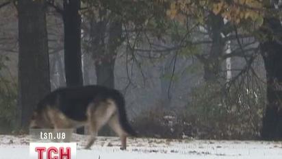 У Польщі жертвами морозів стали троє людей