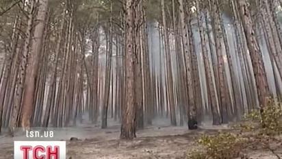 Пожежу в Ялтинському гірському заповіднику досі не загасили, але локалізували