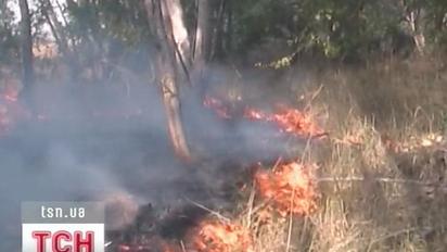 Близько 550 гектарів лісу вигоріло на Херсонщині