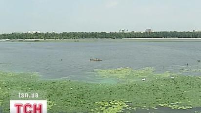 В Україні розпочався період цвітіння водойм