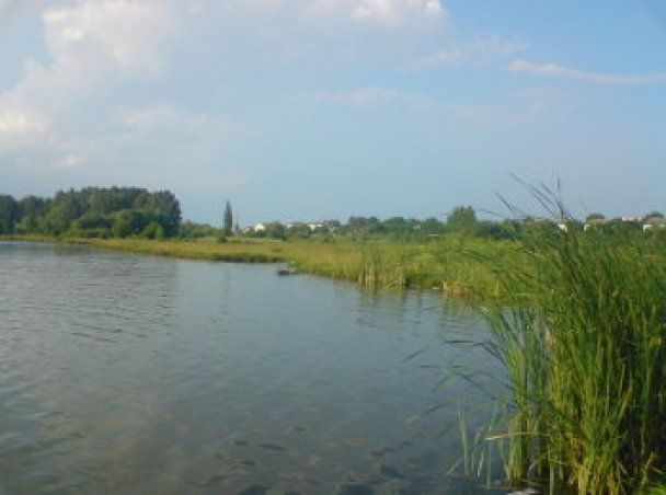 Трагедія на Хмельниччині: у ставку потонули бабуся з внучкою