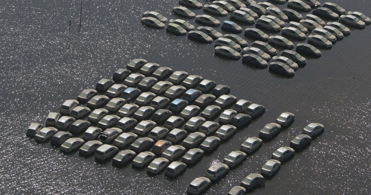 Honda уничтожит более 1000 новых автомобилей_18